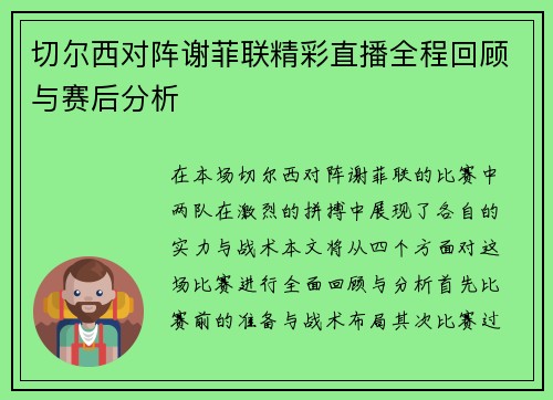 切尔西对阵谢菲联精彩直播全程回顾与赛后分析