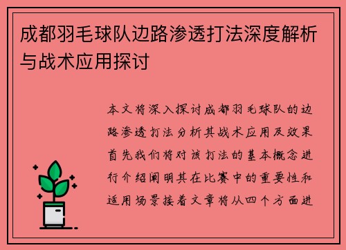 成都羽毛球队边路渗透打法深度解析与战术应用探讨
