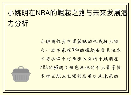 小姚明在NBA的崛起之路与未来发展潜力分析