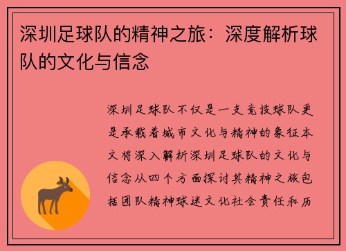 深圳足球队的精神之旅：深度解析球队的文化与信念